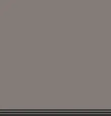 GRIS CENIZA .webp