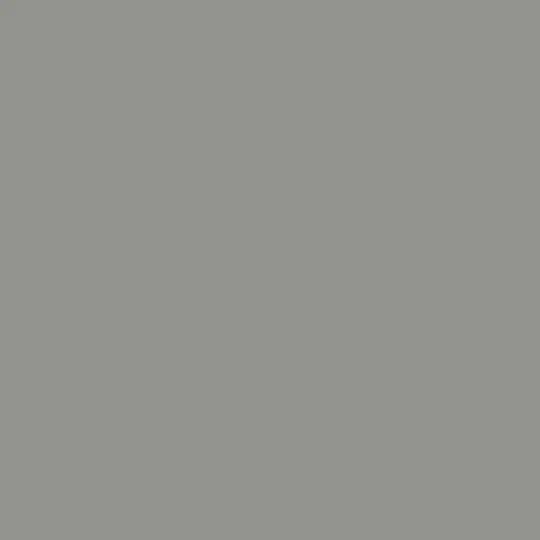 GRIS MACAEL 2 .webp