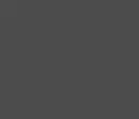 GRIS.webp