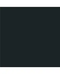 NEGRO.webp