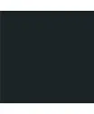 NEGRO.webp