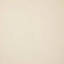 HUESO 2 .webp