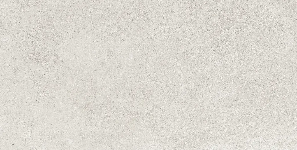 2415600000065@1-2.webp