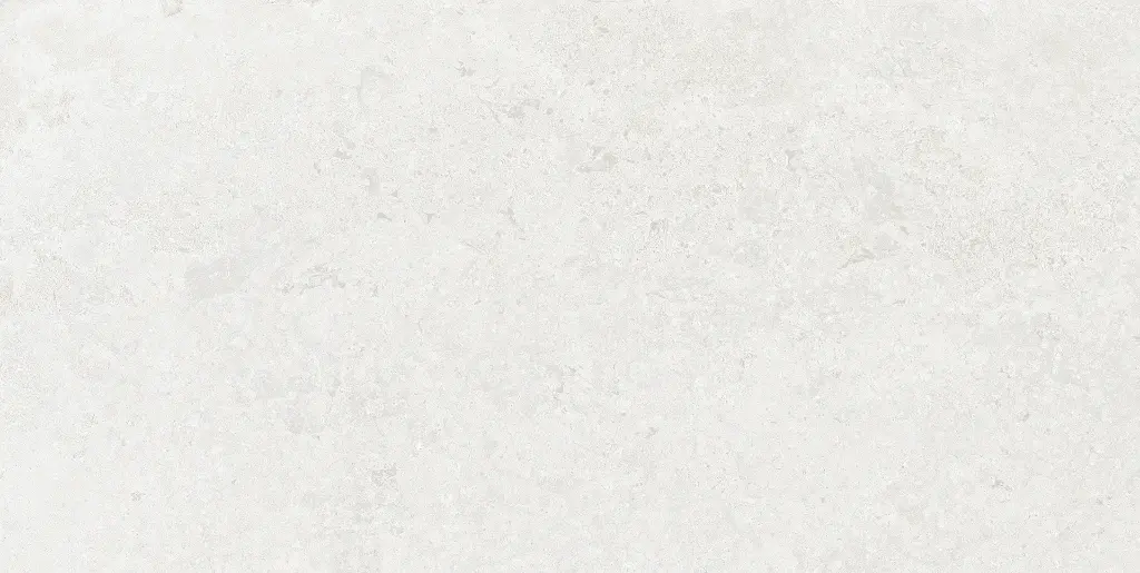 2520700000098@01.webp