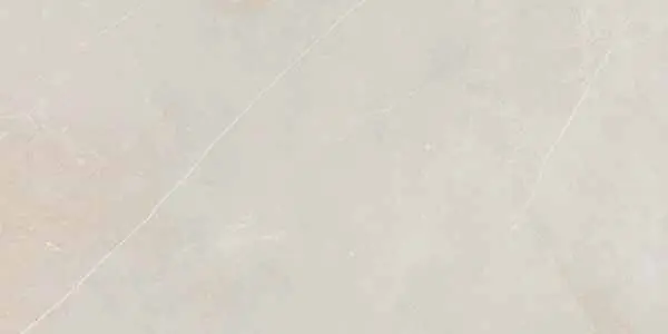 0048690968408.webp