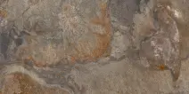 BILMORE MULTICOLOR