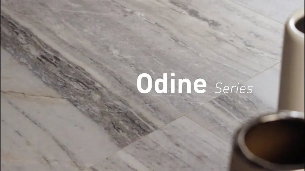 ODINE WHITE 30X60.webp