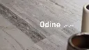 ODINE WHITE 30X60.webp